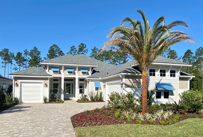Palmetto Cove - Nocatee